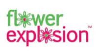 flowerexplosion.com store logo